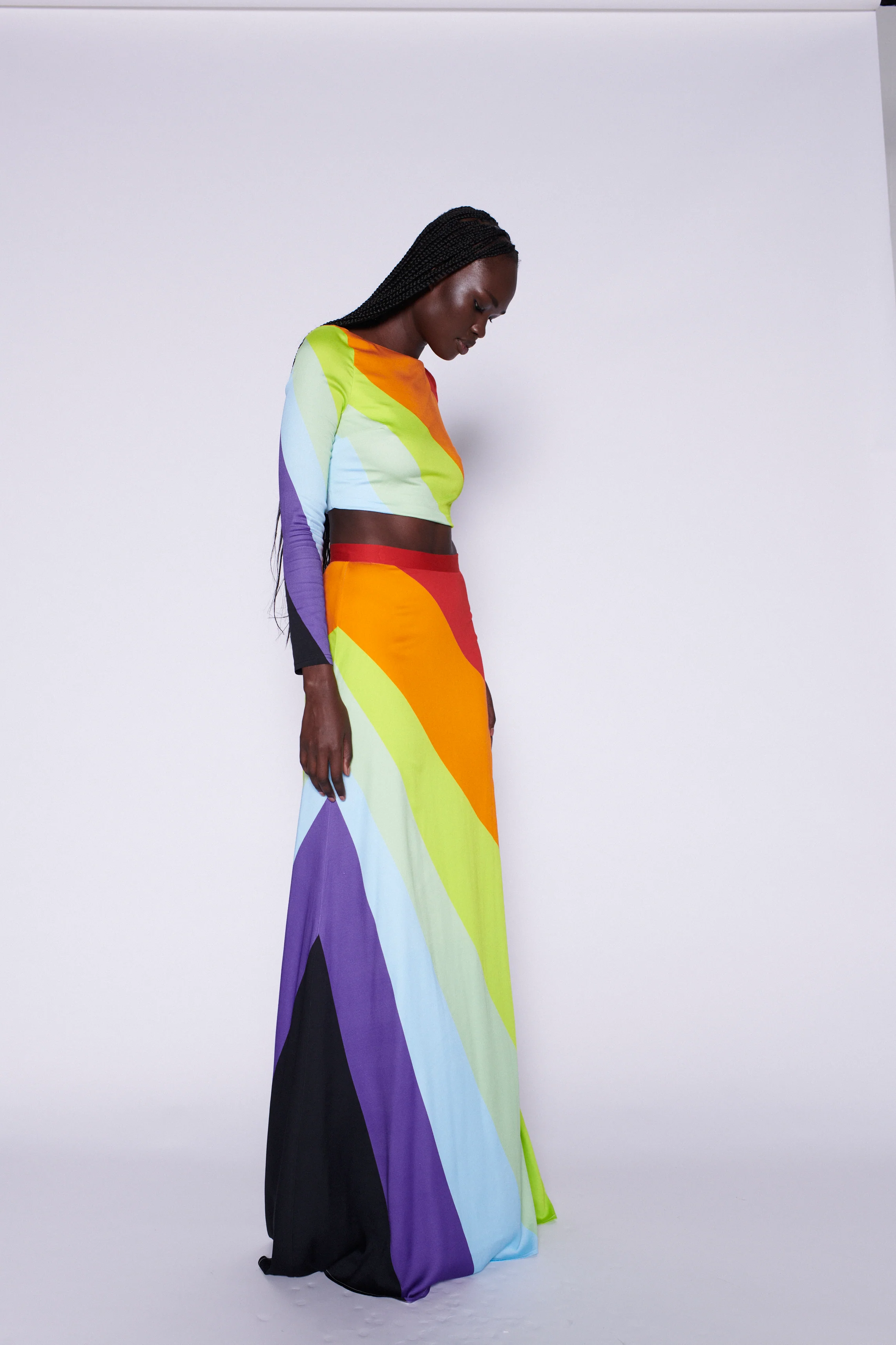 Morgan Rainbow Placement Crop Top RENTAL - Image 4